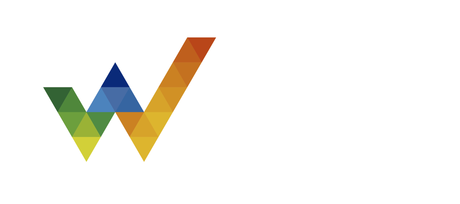 02 W CIRCUIT LOGO BLANCO COLOR